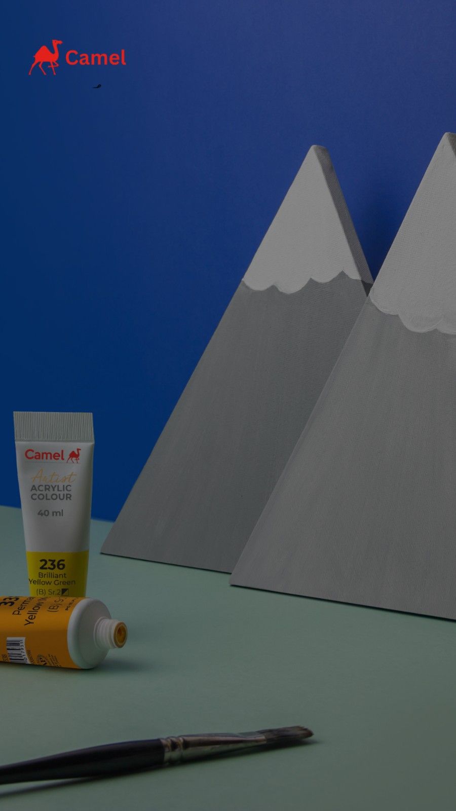 Explore Kokuyo Camlin’s Paints